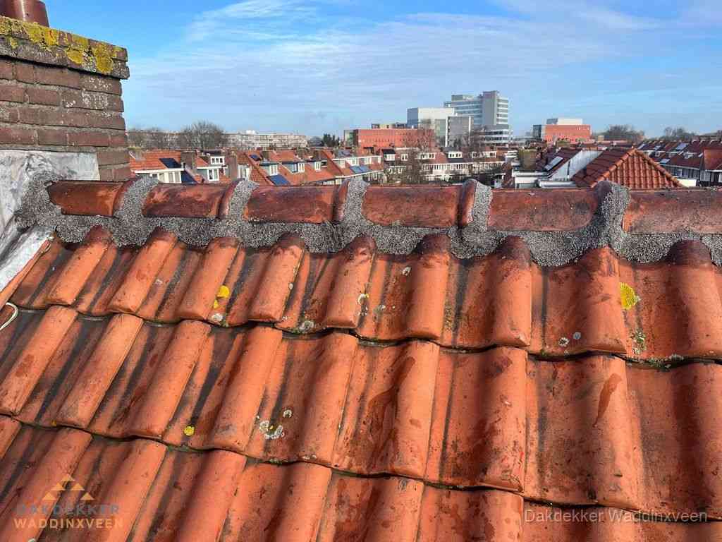 Waddinxveen Daken Renoveren Waddinxveen Daken Renoveren
